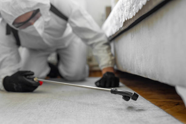Professional Bed Bug Control technician working in Gordon Heights, NY